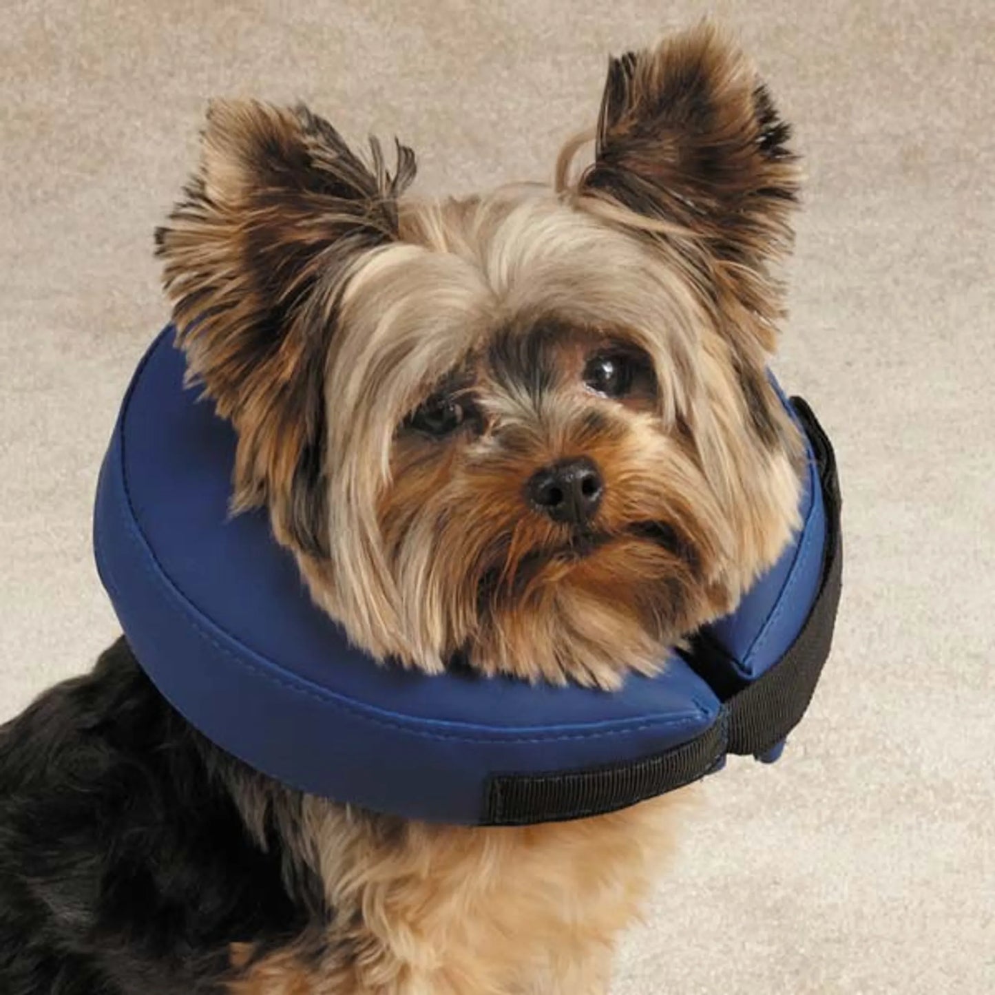TH Inflatable Collar