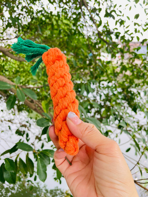 Handmade Sustainable Carrot Rope Chew Toy For little Pet